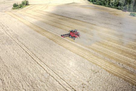 Aerial view of a wheat harvester. Beautiful wheat field during the day.の写真素材