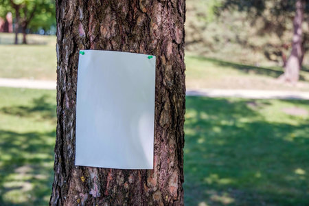 Blank white sheet of paper notice at the bark of tree. advertising mockup.の写真素材