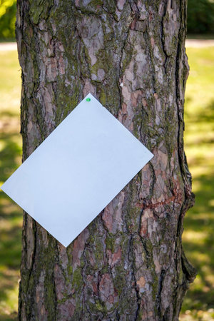 There is a notice on a tree in the park. Blank sheet of paper on wood. advertisement mockup.の写真素材
