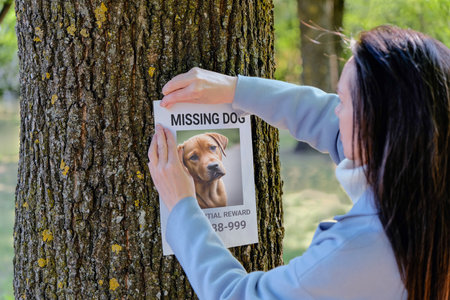 A woman hangs a poster about a lost dog. Paper with an announcement about the missing puppy.の写真素材