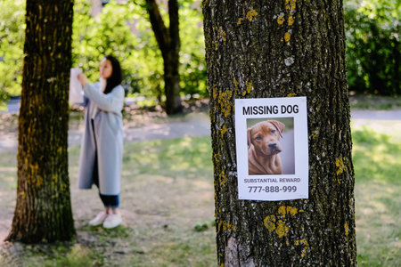 Announcement about the loss of a puppy on a tree. In the background, a woman hangs a poster about a lost dog.の写真素材
