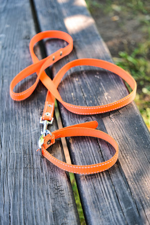 Orange collar with a leash in the park on a bench. Lost dog. pet love concept.の写真素材