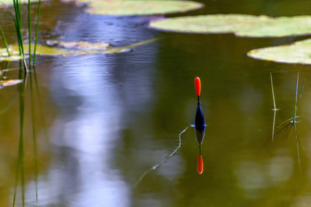 Fishing bobber floating in the small pond. Fishing float in the lake.の写真素材