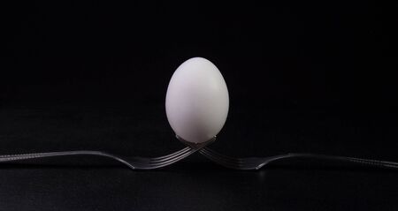Eggの写真素材