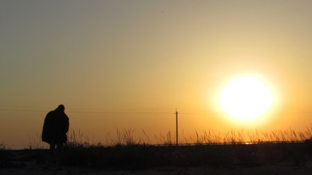 Sunset on the field with young rye or wheat in the summer. Landscape.の写真素材