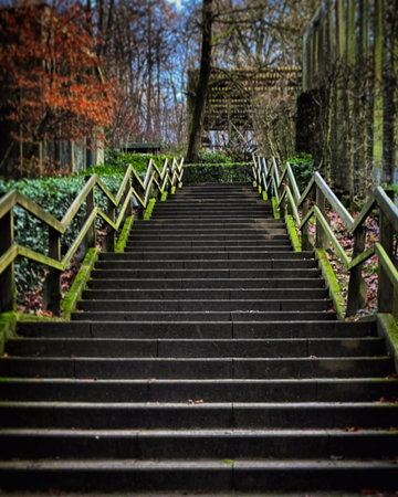 Old stairs in forest. moss coverd with stone steps in forest in Bielefeldの写真素材