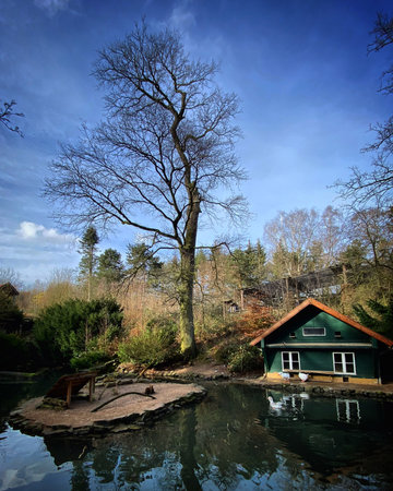 A bird house in the middle of a pond. This beautiful wooden fairy-tale houseの写真素材