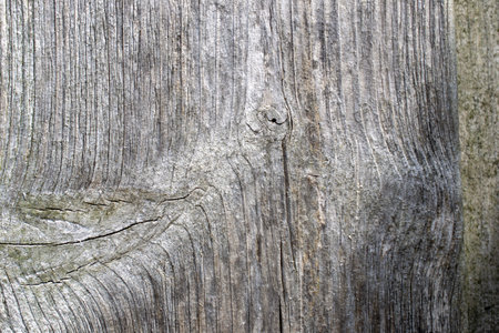 Nature wood textured wallpaper backgroundの写真素材