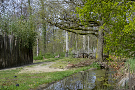 Lush Green Gardens on Estateの写真素材
