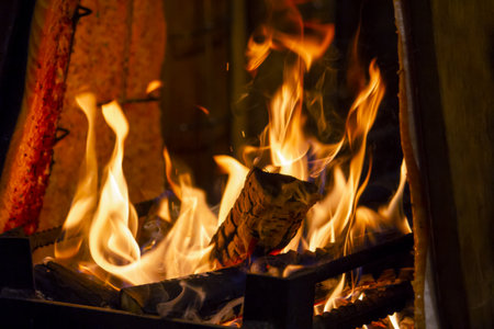 Smoked salmon fillet on fireの写真素材