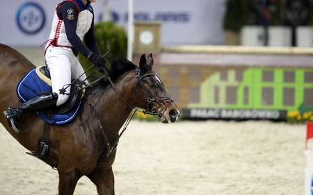 WARSAW, POLNAD - FEBRUARY 26: Cavaliada International Horse Jumping indor contest in Torwar Hale in Warsawのeditorial素材