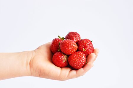 Hand holding a strawberries isolated on white background. Close upの写真素材