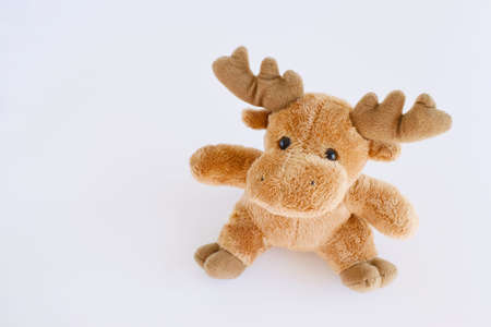 Soft brown deer isolated on whiteの写真素材