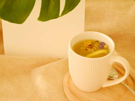Cup of tea,lemon and warm knitted plaid on windowsill, close up.の写真素材