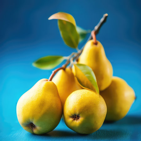 Sweet appetizing yellow pears with leaves on a blue background, fruit harvest, autumnの素材