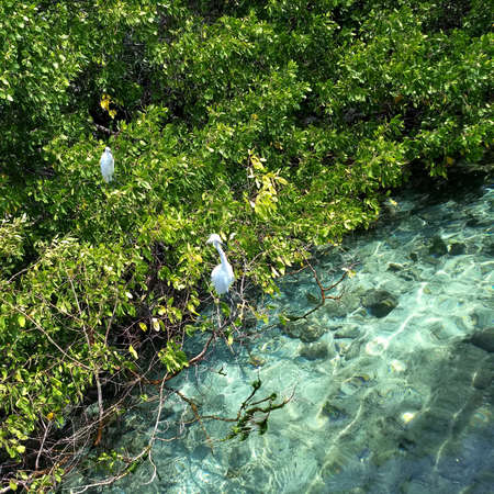 Beautiful natural landscape on an island