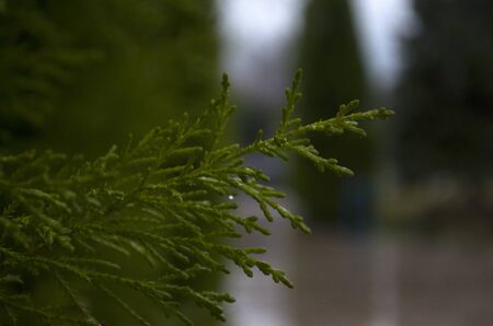 rainy and cold winter dayの写真素材