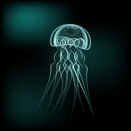 Meduse vector illustration on daek background. Lighting effect. Isolated elements.のイラスト素材