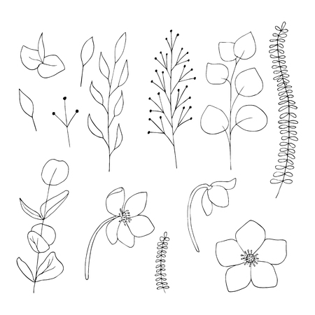 Vector floral graphics set black on white background isolated elements. Flowers, leaves, hand drawn illustration. Greeting card, invitation, party, Cristmas,new year, holiday.のイラスト素材