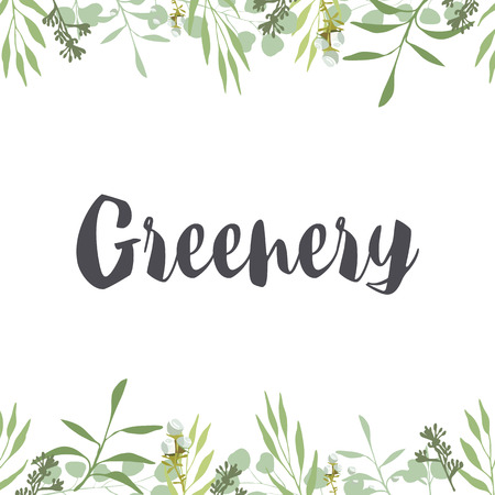 Green leaves and herbs, white flowers on white background, Frame, card, ivitation, template, banner. Herb, tree, organic, natural, greenery, rustic.のイラスト素材