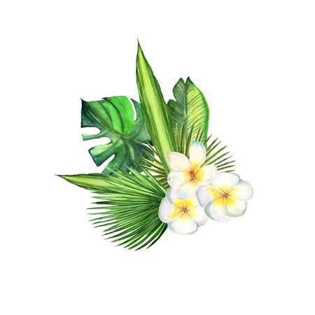 Watercolor tropical plant leaves and exotic plumeria flowersの写真素材