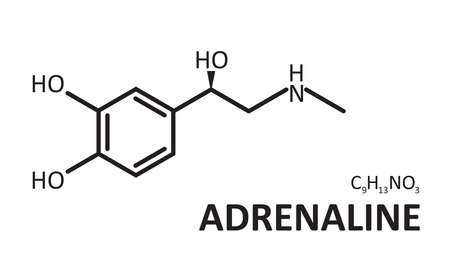 Adrenaline chemistry formula on white background, vector illustration. Atomic molecular line structure. Hormone of a man health, scaring, drive.のイラスト素材