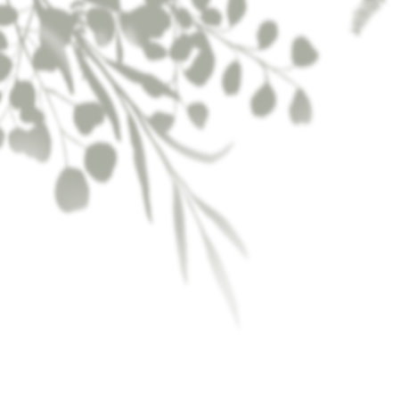 Abstract shadow overlay black and white. Eucalyptus plant foliage.の写真素材