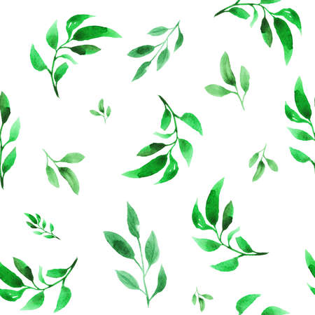Botanical watercolor seamless pattern. Simple green plant leafs, branches on white backgroundの写真素材