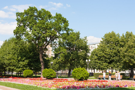 MOSCOW, RUSSIA - AUGUST 12, 2017: Trees and flowers on a beautiful summer sunny day in Tsvetnoy Boulevard park. This park is located in the center of Moscow.のeditorial素材