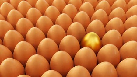 One golden egg in a pack isolated on white background, One golden egg among white eggs, 3D render