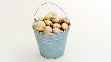 Pail of the potatoes isolated on white background, metalic Pail, 3D renderの写真素材
