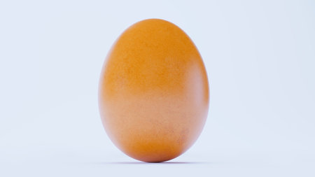 chicken egg isolated on white backgroundの写真素材