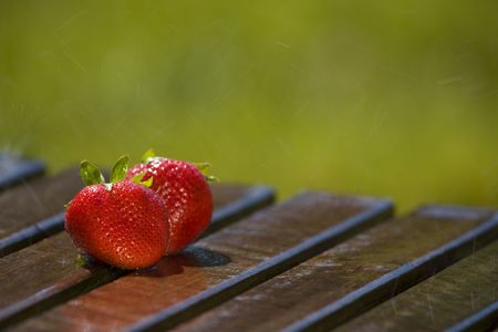 A Pair of Strawberries in the Rainの写真素材
