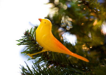 Antique Christmas tree yellow bird ornament among tree branches (3442)の写真素材