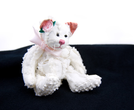White Chenille Cat Stuff Animal on white and black の写真素材