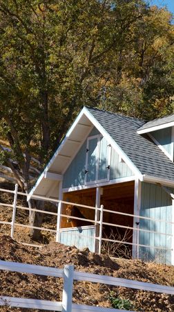 Horse in Blue and white house with white fencesの写真素材