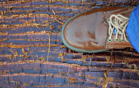 Hiking boots on a wooden background, closeup of photo.