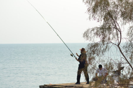 Palm trees on the seashoreの写真素材