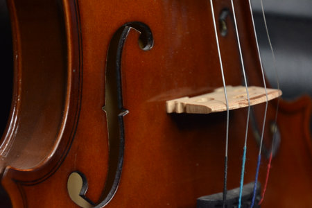 Classical guitar and classic violin up closeの写真素材