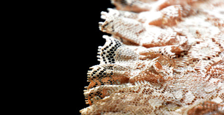 Lace fabric for fashion designs: thin, black,の写真素材
