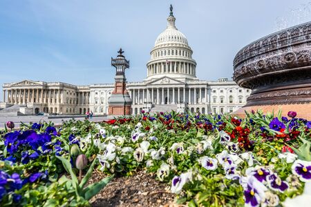 Spring at the United States Capitol Building in Washington DC.