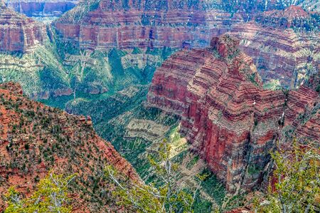 The many colors of that can be found in the Grand Canyon of Arizonaの写真素材