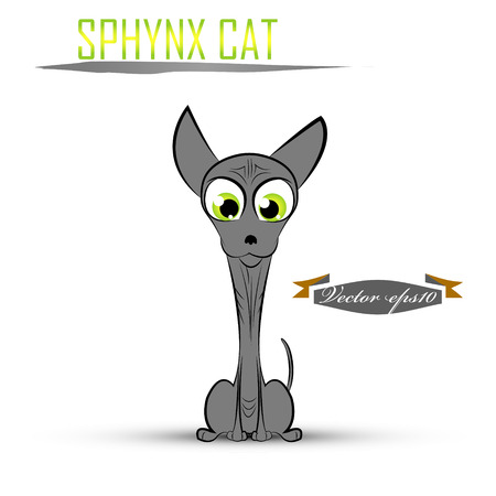 sphynx cat cartoon vectorのイラスト素材