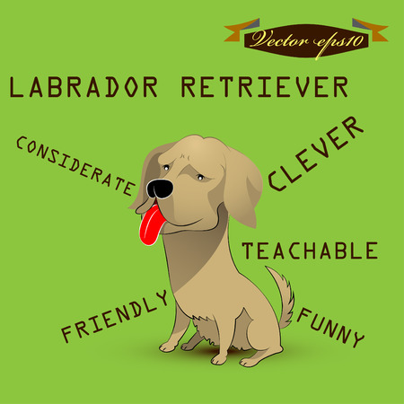 labrador retriever dog cartoonのイラスト素材