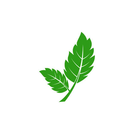 Green leaf logo ecology nature element vector iconのイラスト素材