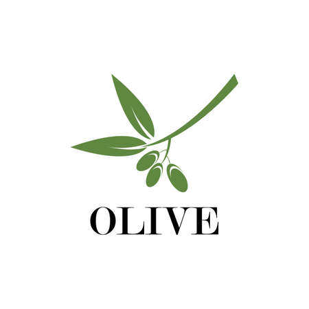 olive logo template vector designのイラスト素材