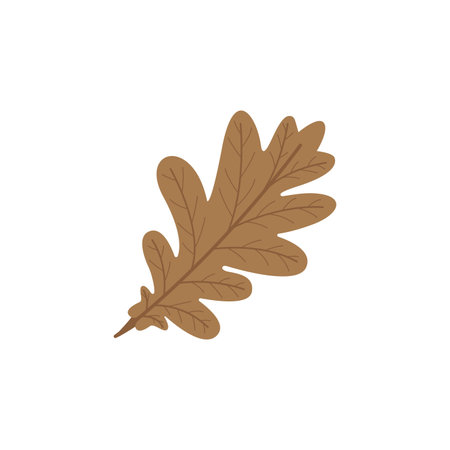 oak leaf background vector design templateのイラスト素材