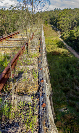 view from the Noojee Trestle bridge, Gippsland, Victoria, Australiaの写真素材