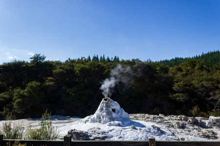 Lady Knox Geyser, Wai-O-Tapu Thermal Wonderland, Rotoruaの写真素材