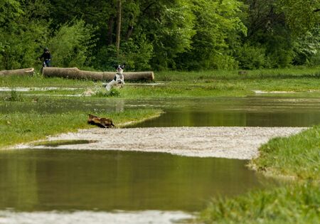 munich, isar, brudermuehlbruecke, Mai 22, 2019: storm deep axel is flooding the isar in munich, a...